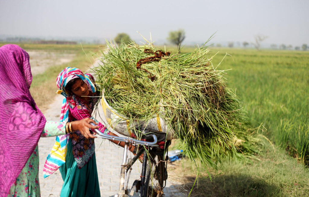 dl.beatsnoop.com-3000-s1F7LhtSyv